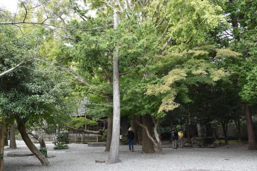 Gardens of Kōtoku-in