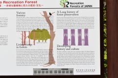 Forest history